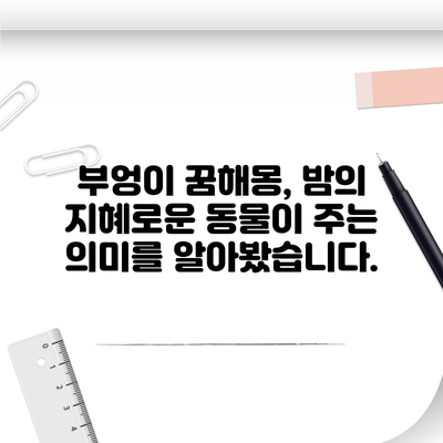 부엉이 꿈해몽, 밤의 지혜로운 동물이 주는 의미를 알아봤습니다.