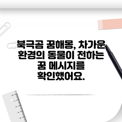 북극곰 꿈해몽, 차가운 환경의 동물이 전하는 꿈 메시지를 확인했어요.