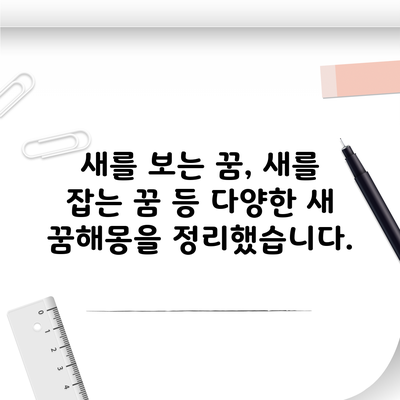 새를 보는 꿈, 새를 잡는 꿈 등 다양한 새 꿈해몽을 정리했습니다.