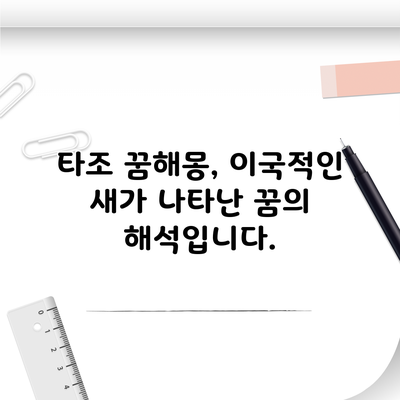 타조 꿈해몽, 이국적인 새가 나타난 꿈의 해석입니다.