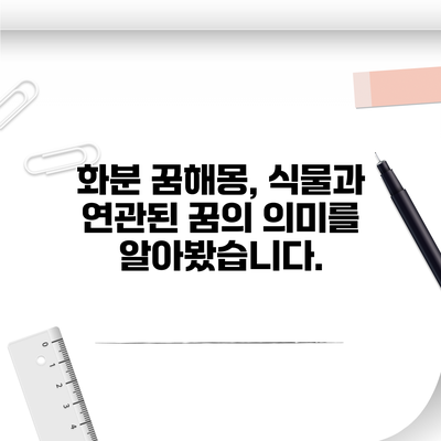 화분 꿈해몽, 식물과 연관된 꿈의 의미를 알아봤습니다.