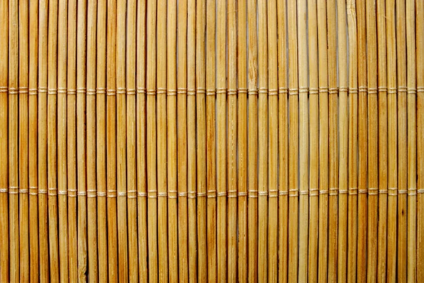 Bamboo