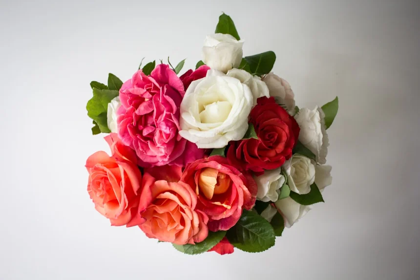 Bouquet