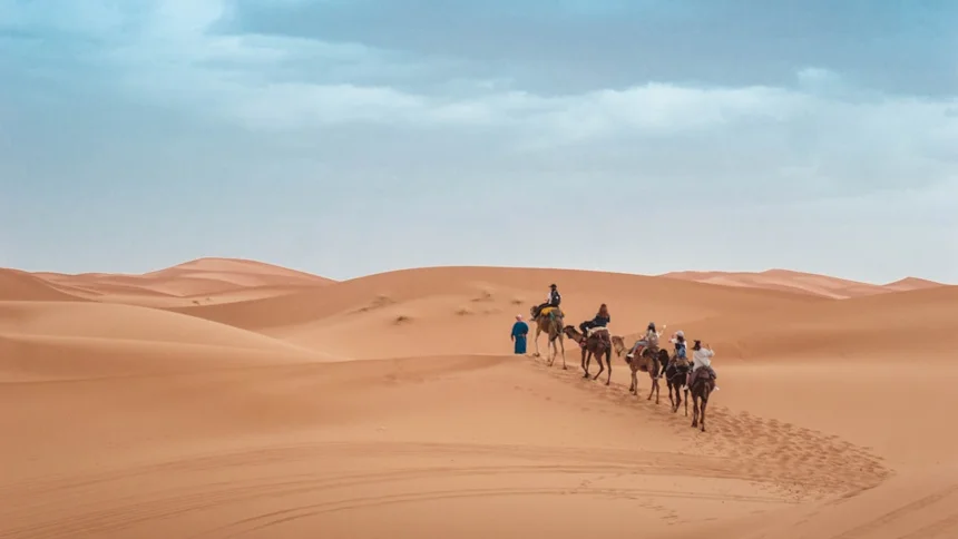 Camel