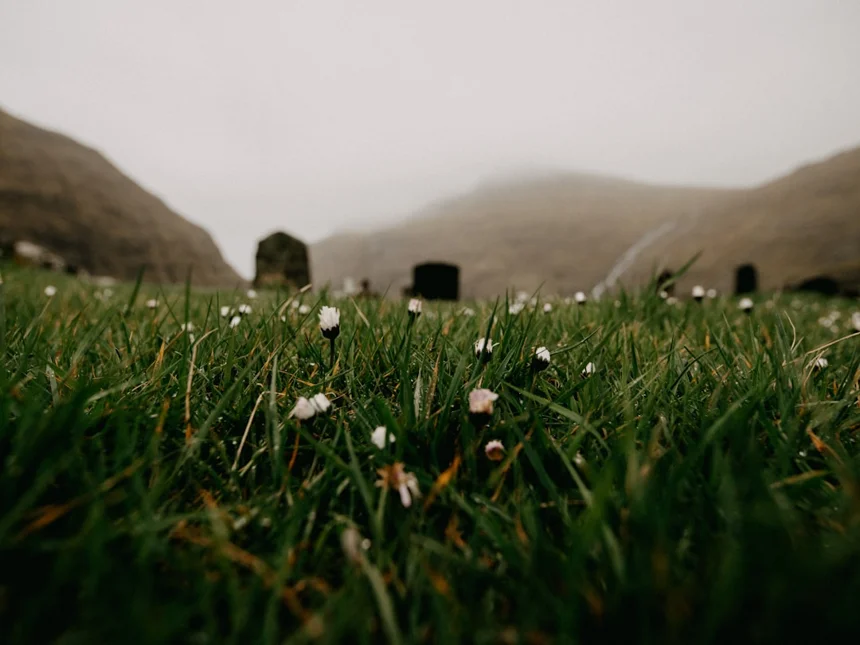 Cemetery