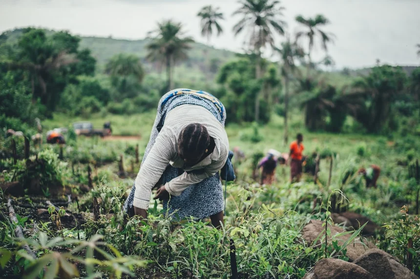 Farming.