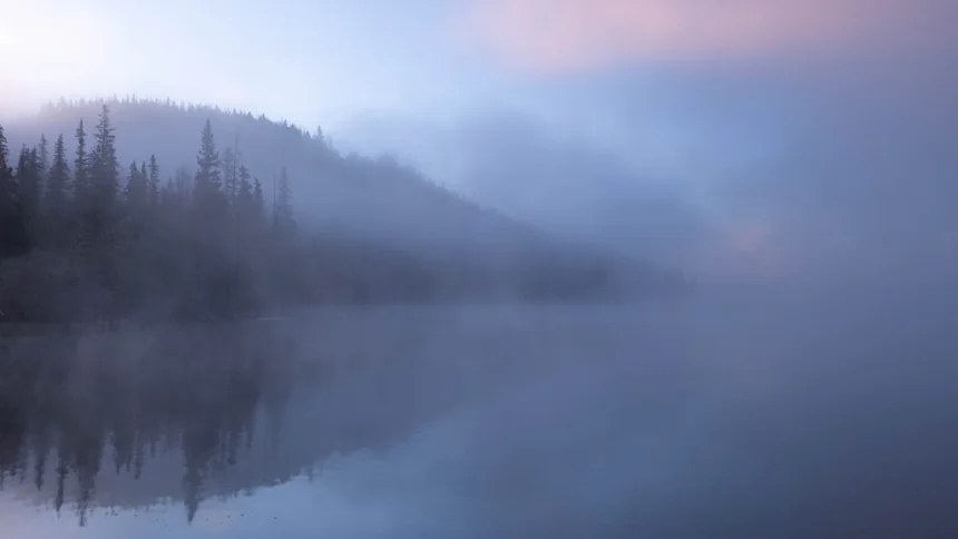 Fog