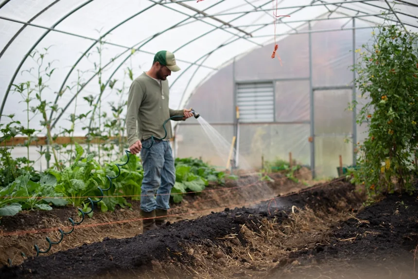 Greenhouse