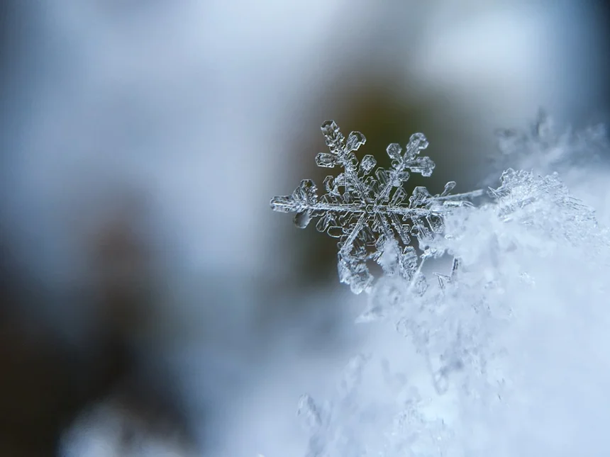Ice