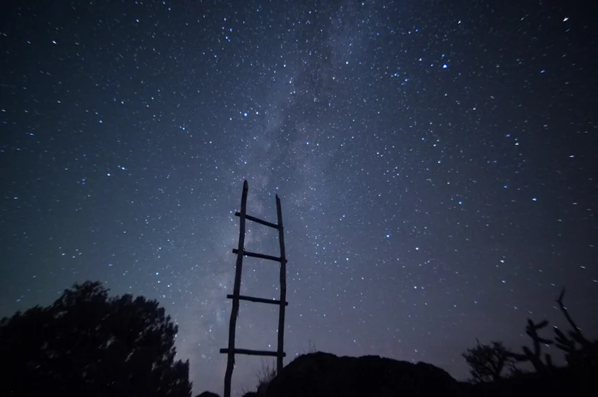 Ladder