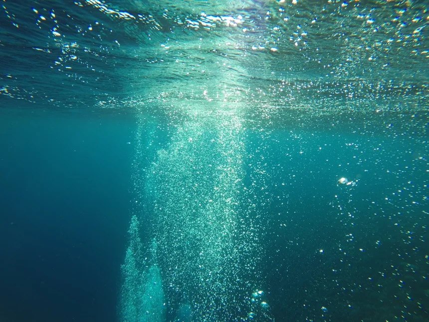 Mermaid