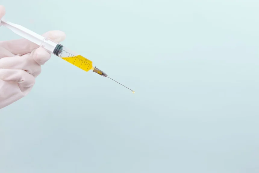 Needle