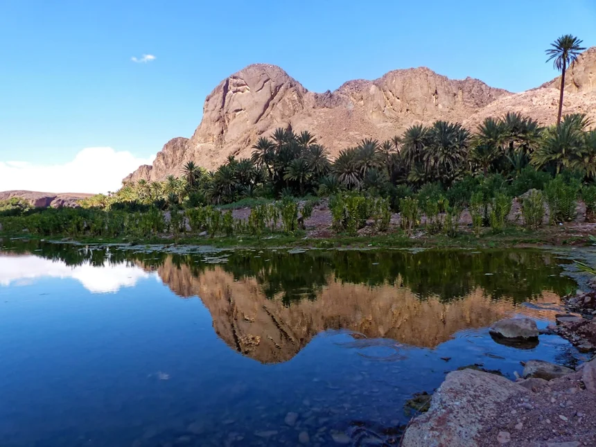 Oasis