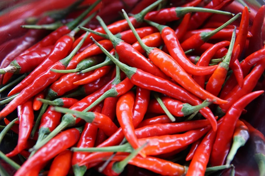 Pepper