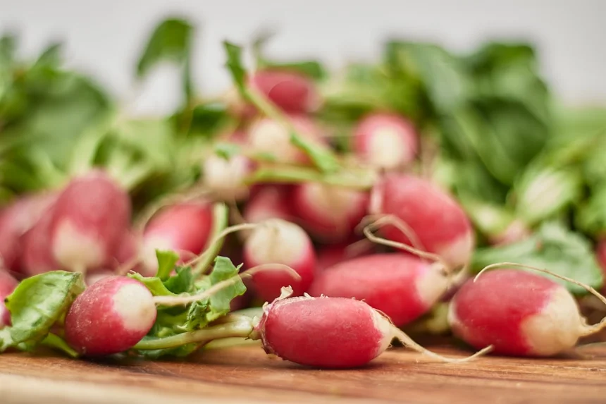 Radish