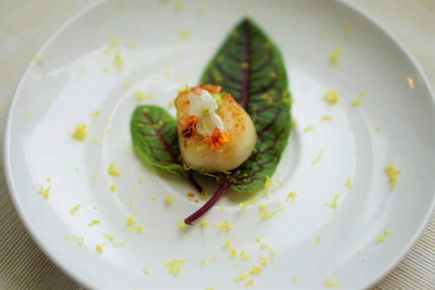 Scallop