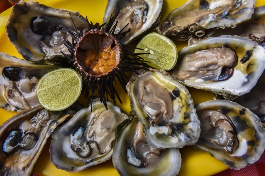 Sea urchin