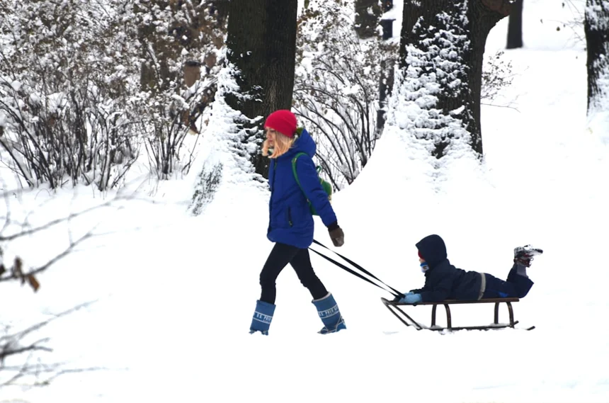 Sled