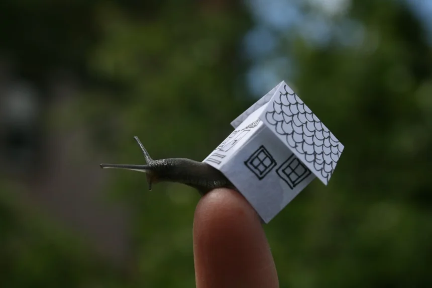 Snail