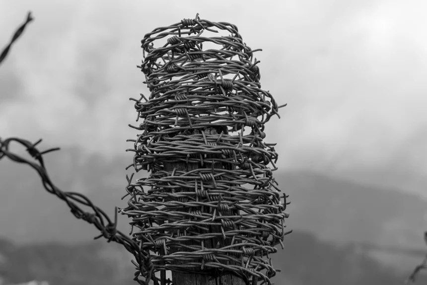 barbed wire