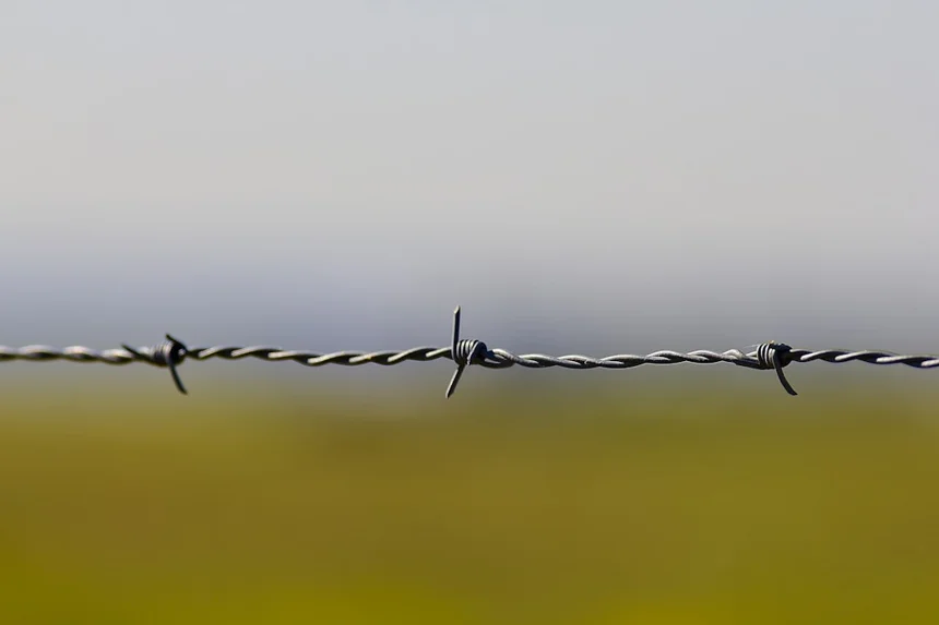 barbed wire