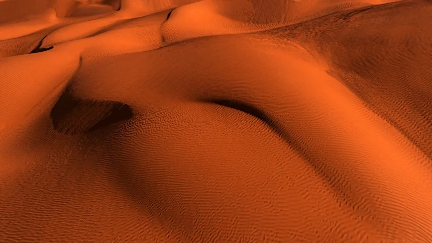 Belly button