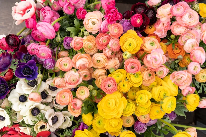 Bouquet