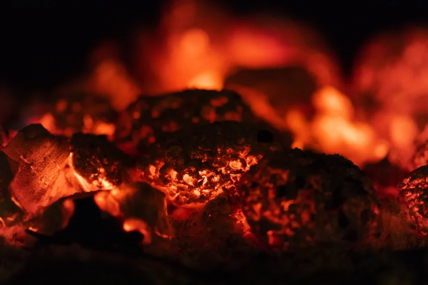 Coal