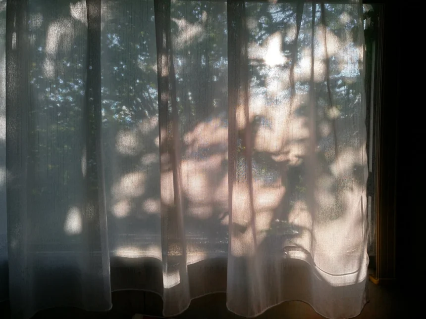 Curtain