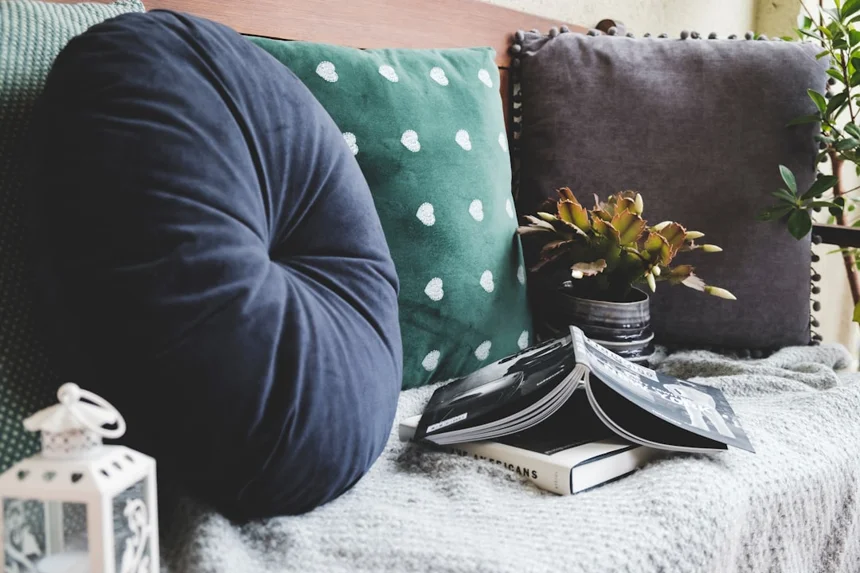 Cushion