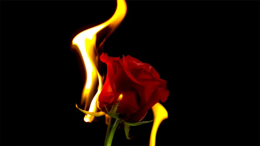 Desire