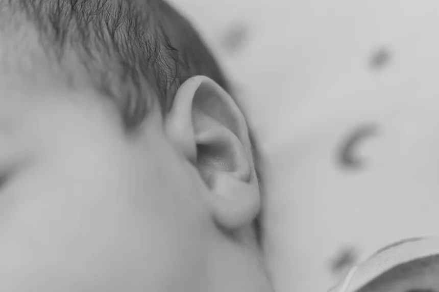 Ear