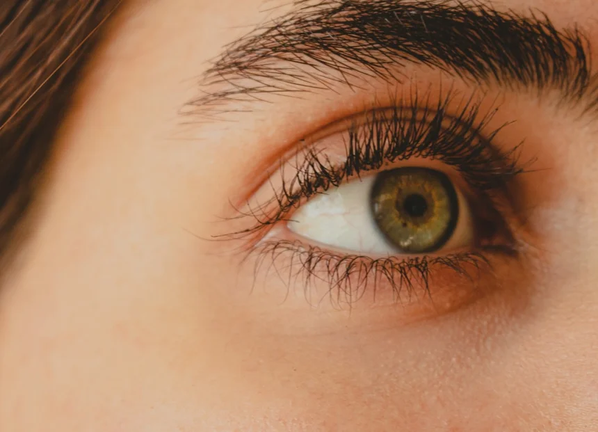 Eyebrow