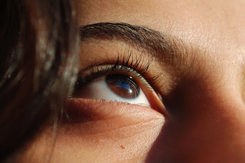 Eyelash