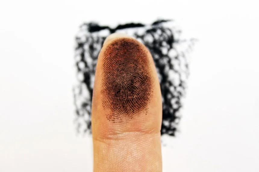 Finger