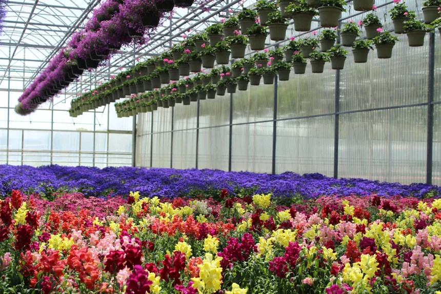 Flower basket