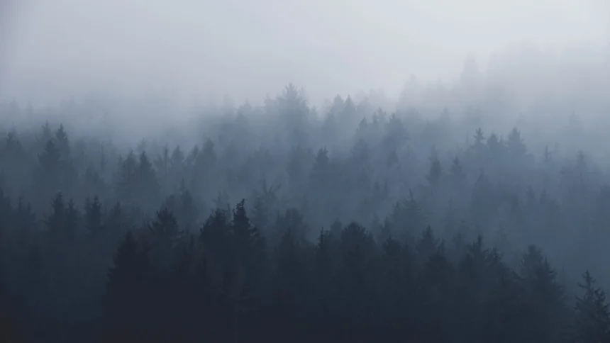 Fog