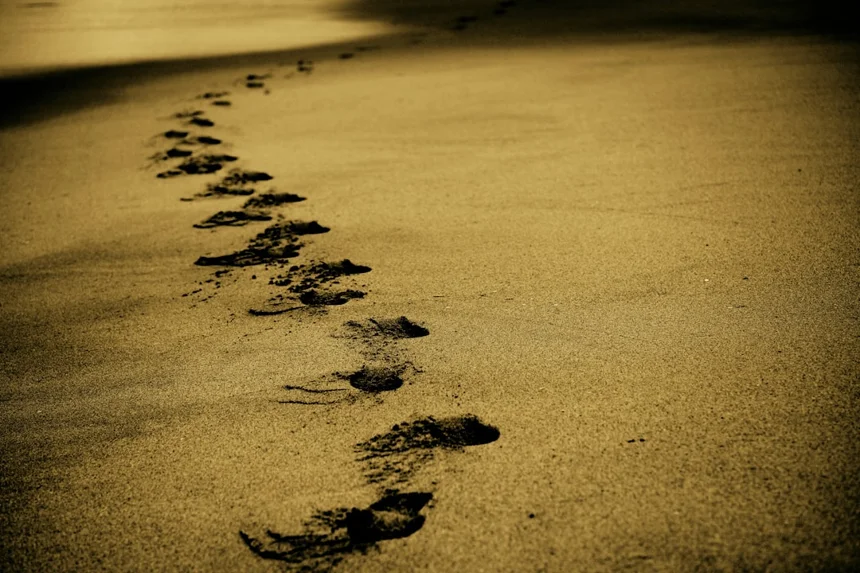 Footprint