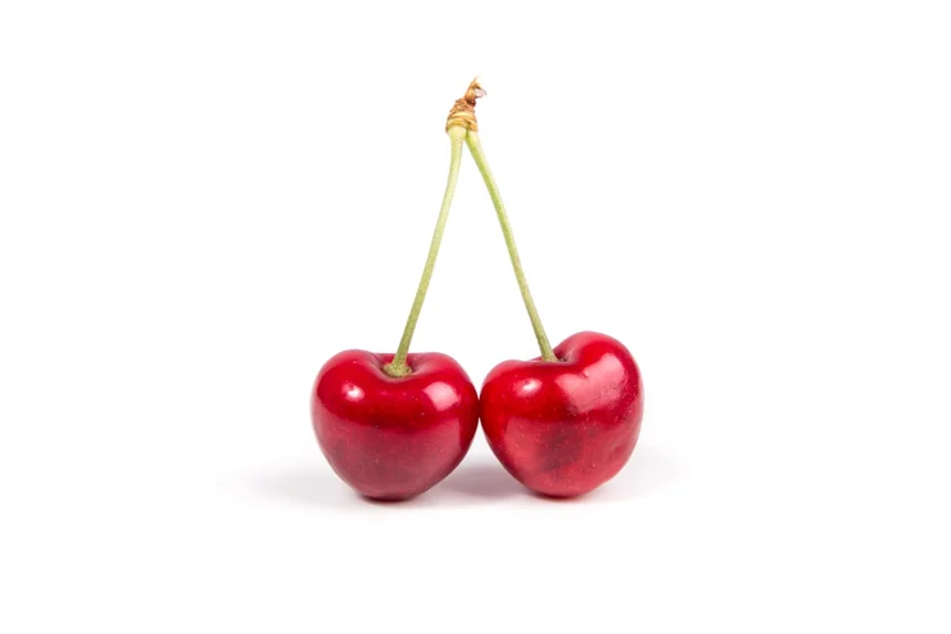 Fruit