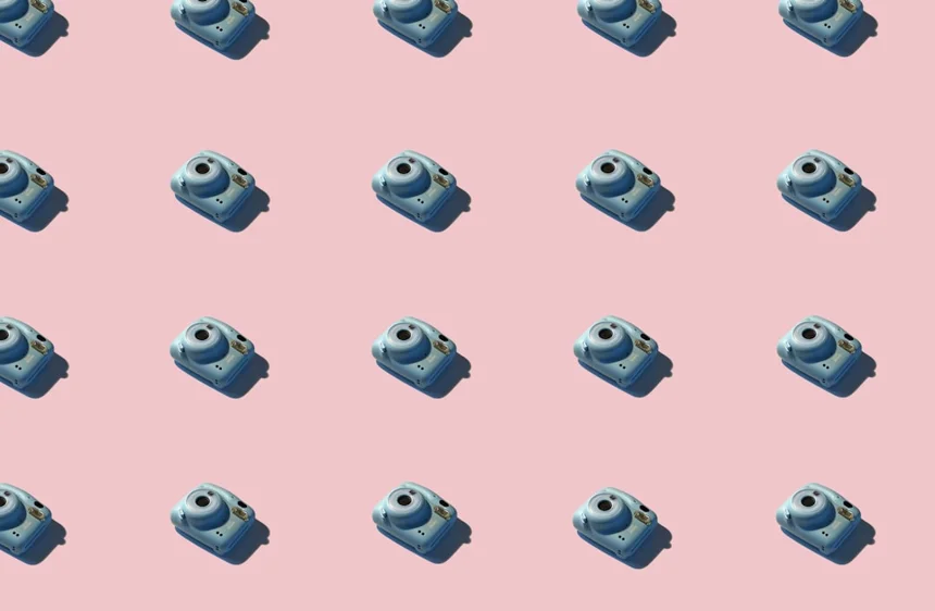 Gums