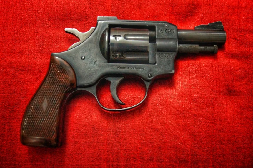 Gun