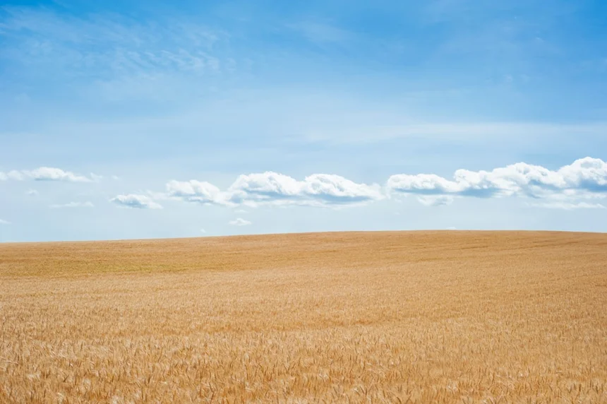 Land