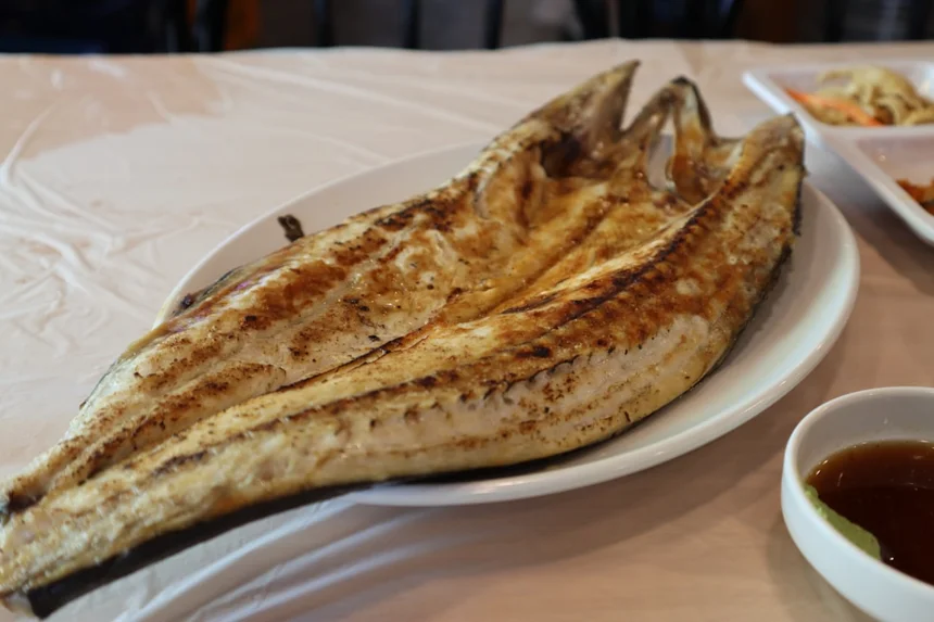 Mackerel