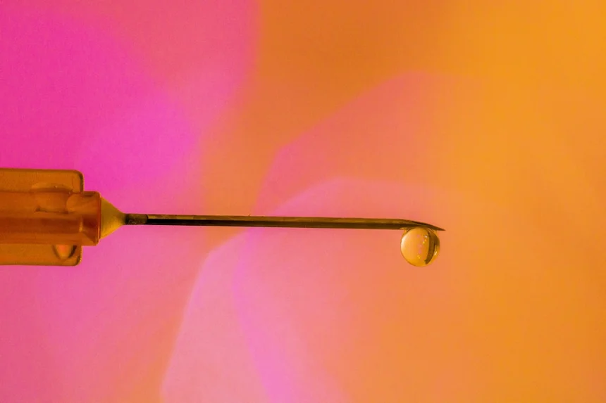 Needle