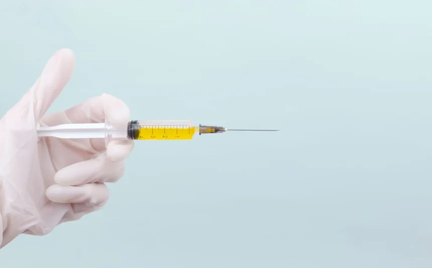 Needle