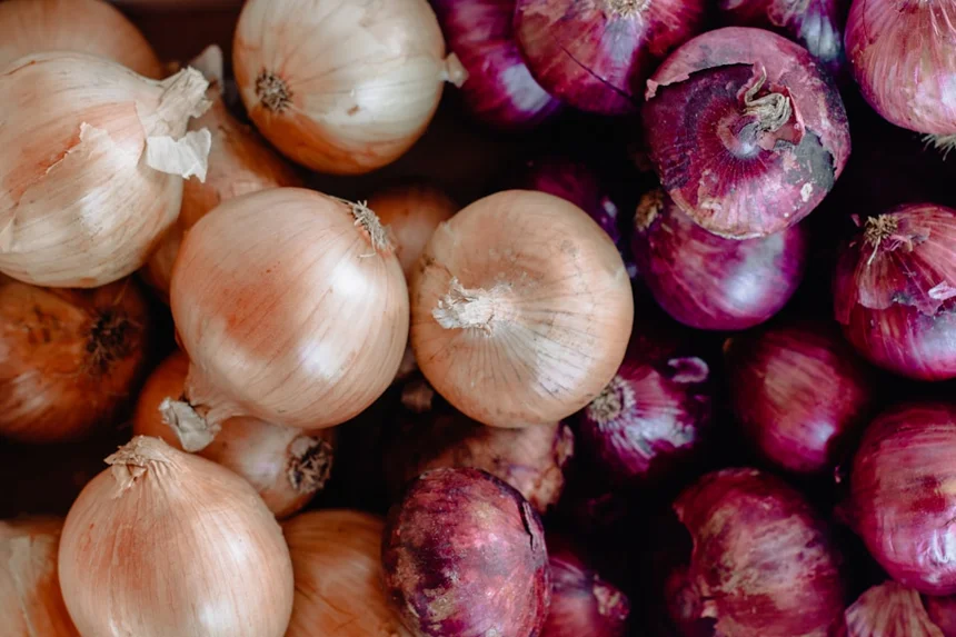 Onion