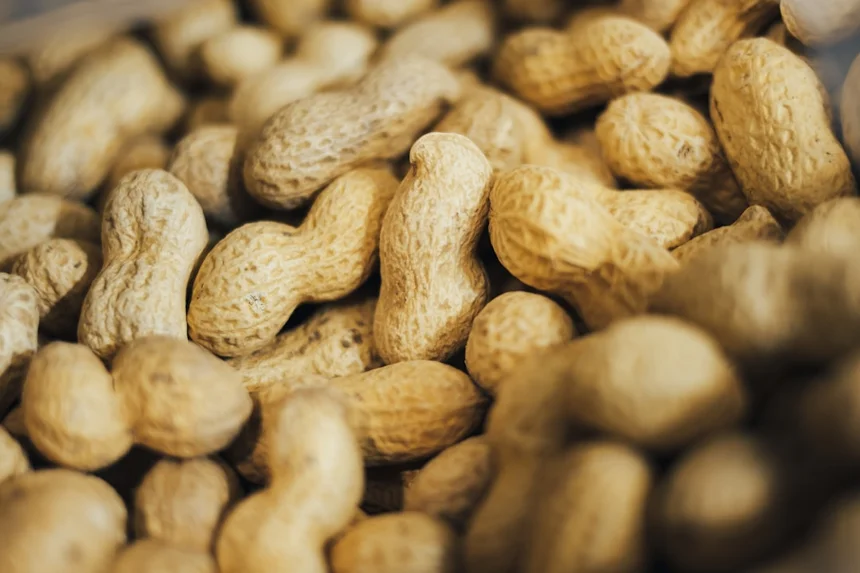 Peanut