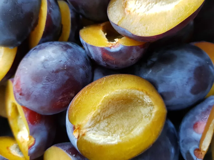 Plum