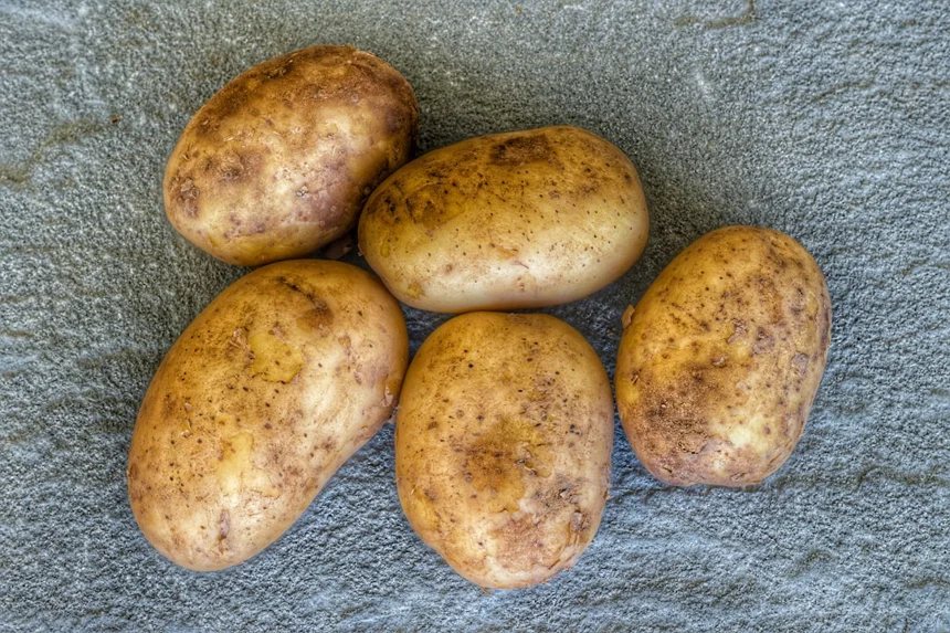 Potato