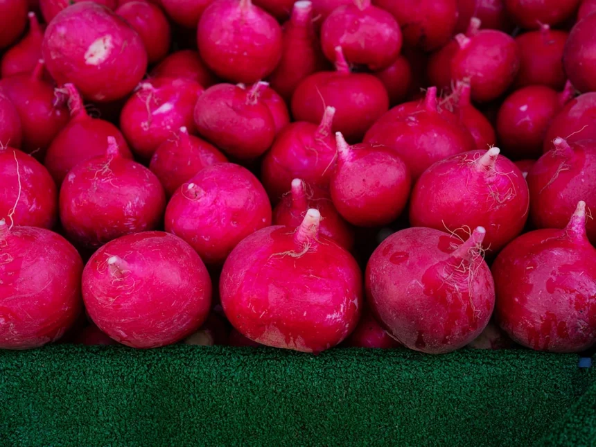 Radish